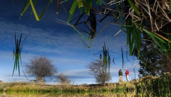 Mirror effect Mirror effect