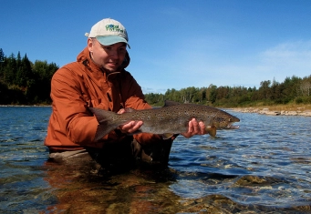 I can not believe it... I can not believe it...