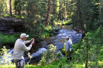 Look ma, no hands! Look ma, no hands!