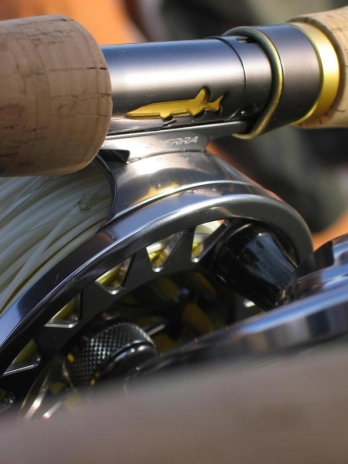 Cutout closeup, again Cutout closeup, again