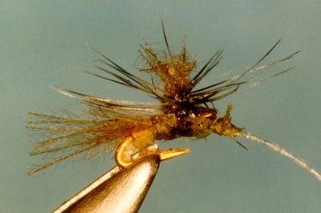 #32 CDC Olive Parachute #32 CDC Olive Parachute