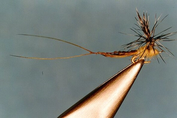 #32 Wonderbody Parachute #32 Wonderbody Parachute