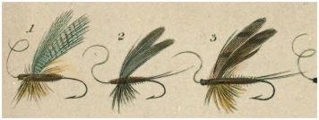 Fly no. 3 Fly no. 3