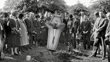 Coffin fly Coffin fly