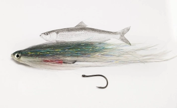 Dark variant Dark variant