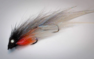 Flashtail fly Flashtail fly