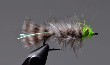 Seasick Fred Seasick Fred