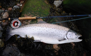 Good shape Good shape