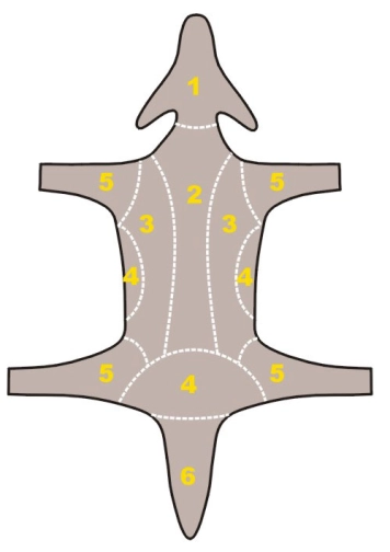 Hide schematics Hide schematics