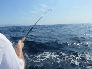 Fly rod hookup on El Grande Fly rod hookup on El Grande