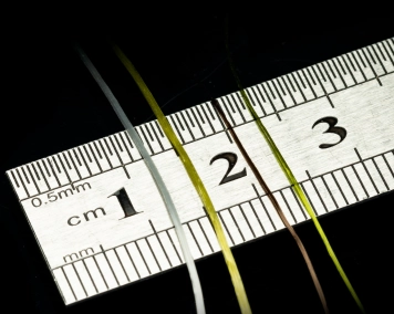 Standard vs. Micro Standard vs. Micro