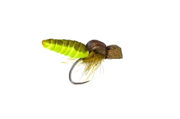 The Skin & Foam Pupa The Skin & Foam Pupa