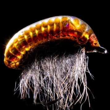 The segmented transparent shell back The segmented transparent shell back