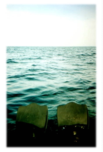 The first man to walk the moon in flippers... or is that swim? The first man to walk the moon in flippers... or is that swim?