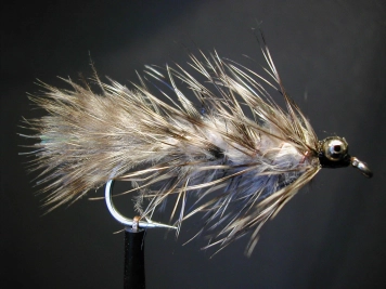 Webby Bright Fred Webby Bright Fred