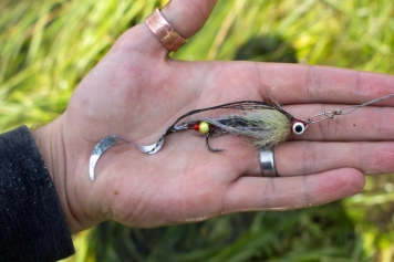 Small wiggle tail Small wiggle tail