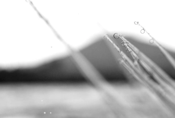 The arsenal The arsenal