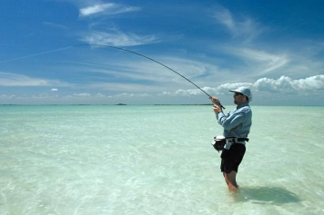 Some places... Some places...