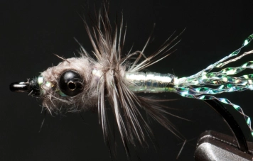 Close-up Close-up