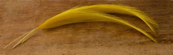 Neck hackle curves Neck hackle curves