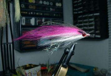 Pink Flasher Pink Flasher