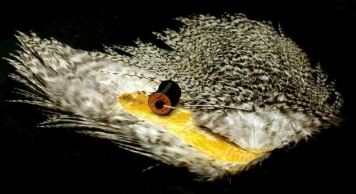 Large saddles Large saddles