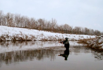 Just twitch it Just twitch it