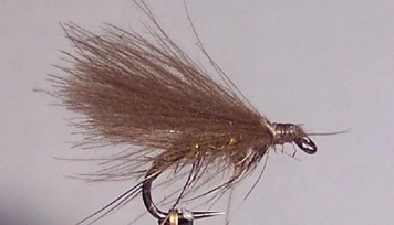 Morgans Ear Morgans Ear