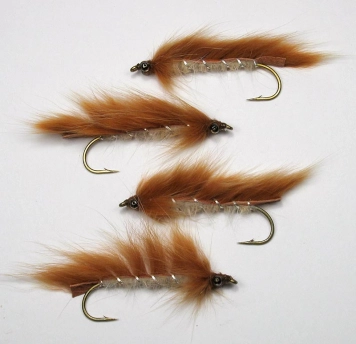 The Spotted Fair Fly The Spotted Fair Fly