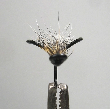 A reason for a name A reason for a name