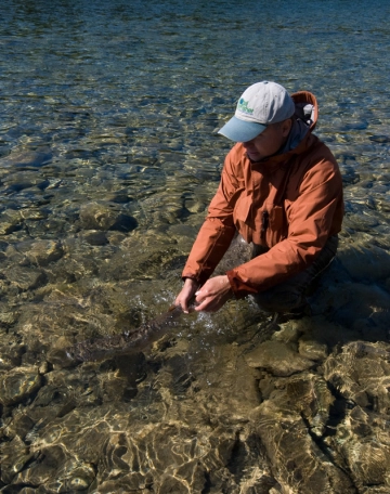 Looking down Looking down