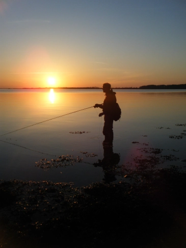 Sunset on the coast Sunset on the coast