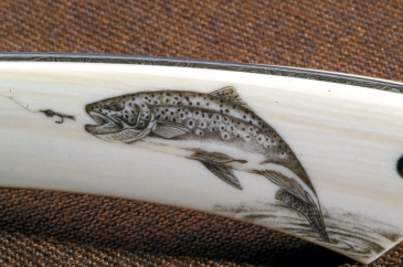 Taking a nymph Taking a nymph