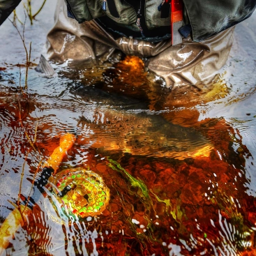 Clear water Clear water