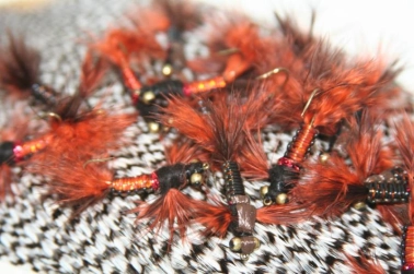 Lake Champs Lake Champs