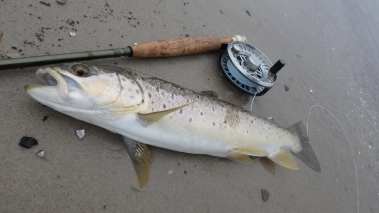 On the beach On the beach
