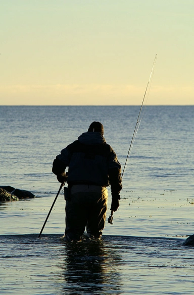 Jut a bit of support Jut a bit of support