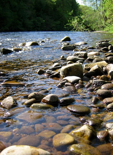 Low stance Low stance