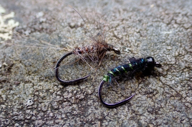 Macro shot Macro shot