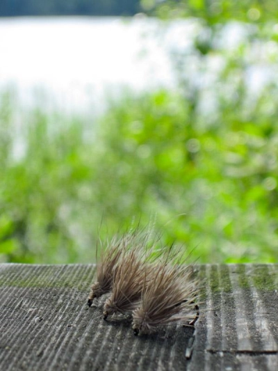 Lower third Lower third