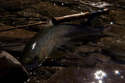 Exhausted and model for a second Exhausted and model for a second