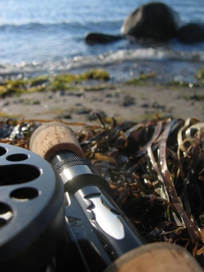 Closeup and perspective Closeup and perspective