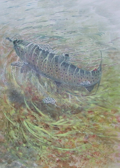 The rise and fall of Mr. Brown (tryptic) The rise and fall of Mr. Brown (tryptic)