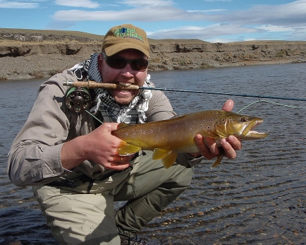 Golden brownie Golden brownie