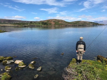 Scouting Scouting
