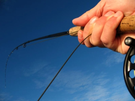 Extreme POV Extreme POV