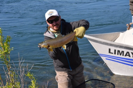 Resident brown newly landed Resident brown newly landed