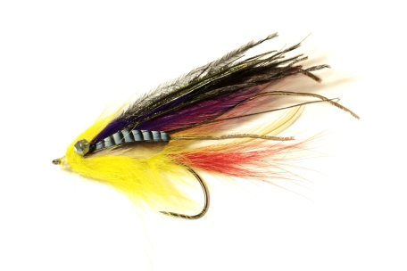 The size of a Wren The size of a Wren