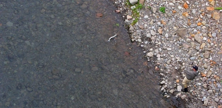 The landing phase The landing phase