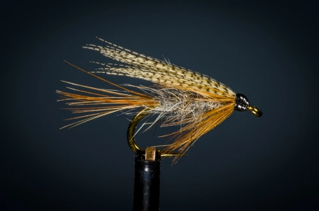 Dark Cahill Dark Cahill